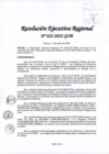 Vista preliminar de documento Resolución Ejecutiva Regional 