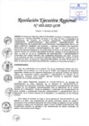 Vista preliminar de documento Resolución Ejecutiva Regional 