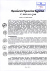 Vista preliminar de documento Resolución Ejecutiva Regional 