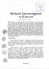 Vista preliminar de documento Resolución Ejecutiva Regional 