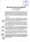 Vista preliminar de documento Resolución Ejecutiva Regional 