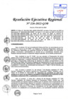 Vista preliminar de documento Resolución Ejecutiva Regional 
