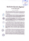 Vista preliminar de documento Resolución Ejecutiva Regional 