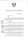 Vista preliminar de documento RGG 028-.pdf