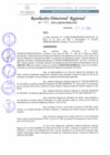 Vista preliminar de documento RDR-195-2022.pdf