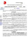 Vista preliminar de documento Resolución Directoral N° 004262-2022