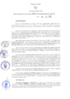 Vista preliminar de documento RER N° 355-2022