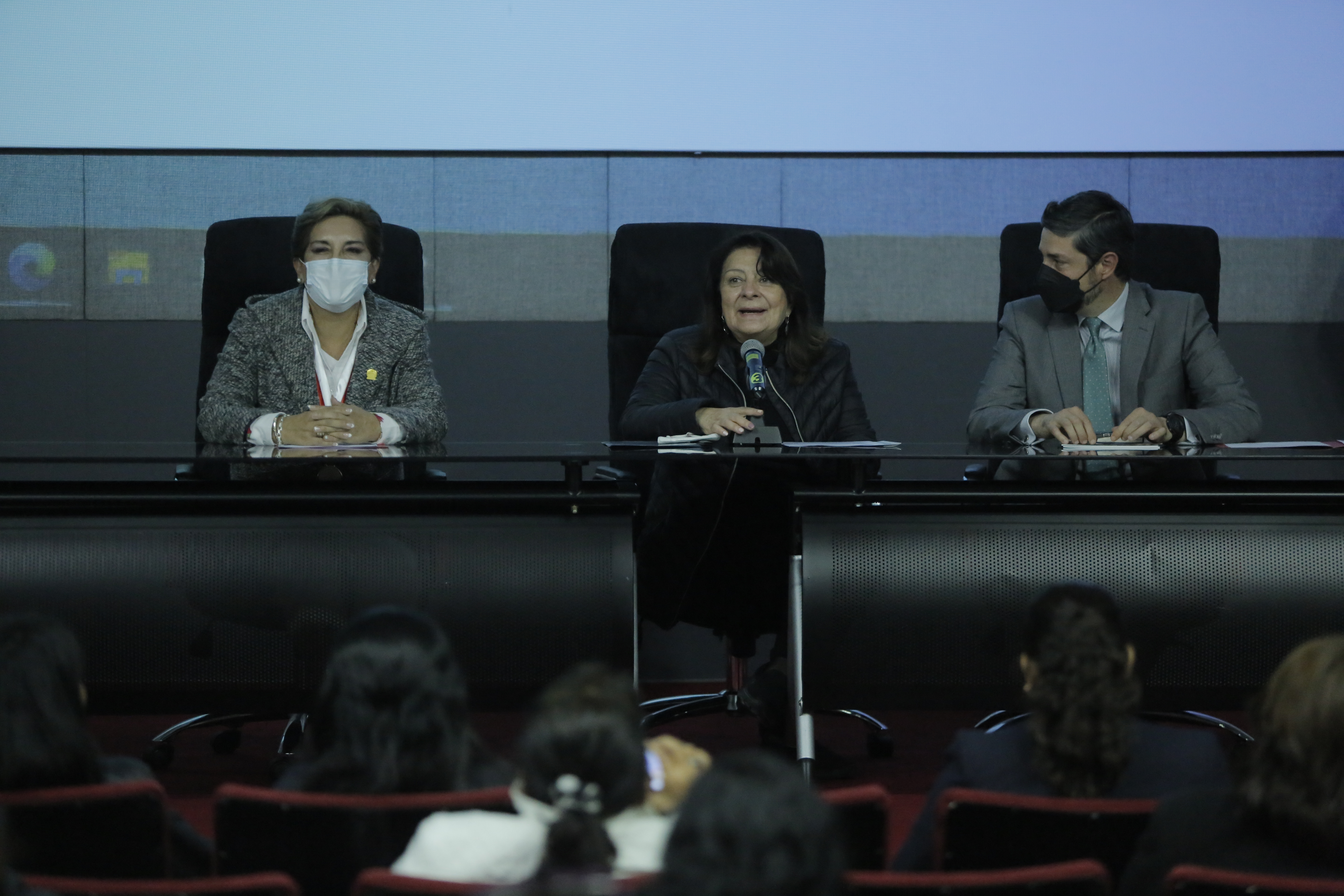 Red Parlamento Mujer Región Lima