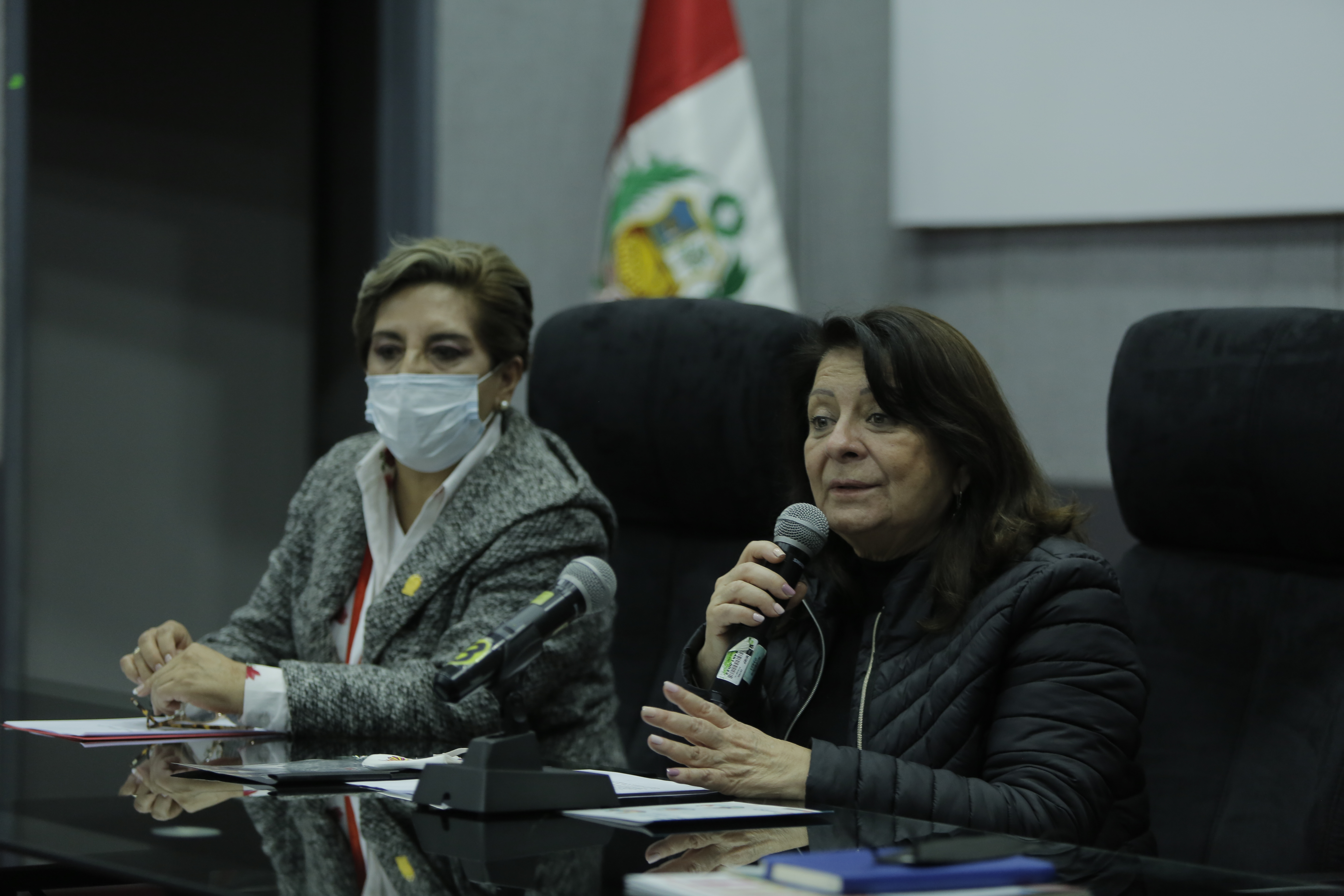 Red Parlamento Mujer Región Lima