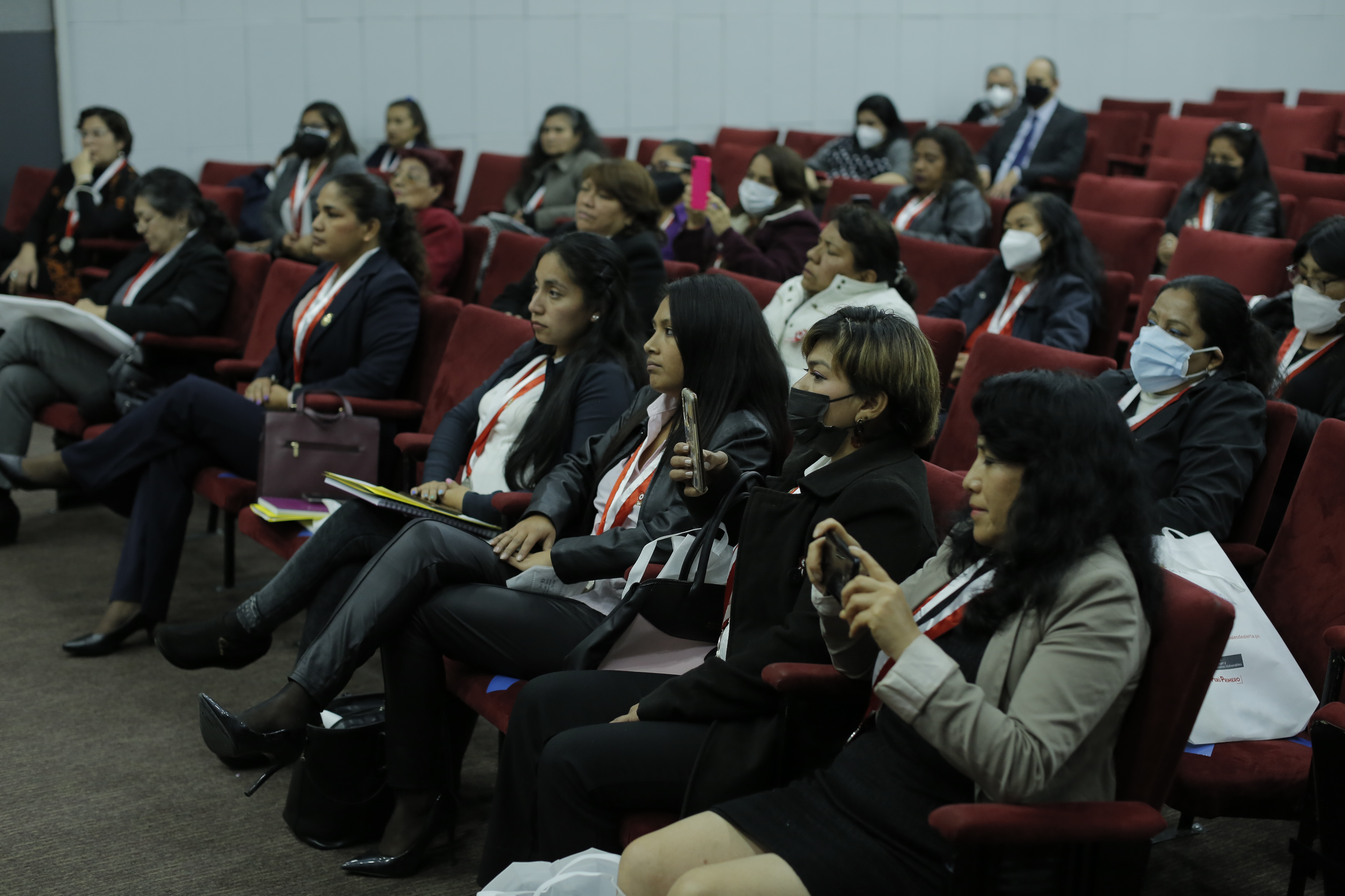 Red Parlamento Mujer Región Lima