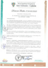 Vista preliminar de documento DA-N-010-2022-MDSA