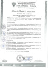 Vista preliminar de documento DA-N-009-2022-MDSA