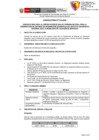 Vista preliminar de documento Convocatoria 033