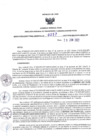 Vista preliminar de documento RDR N°0257-2022-20-06-22.pdf
