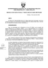Vista preliminar de documento RES. 153-2022-SUNARP-ZRN°II-JEF