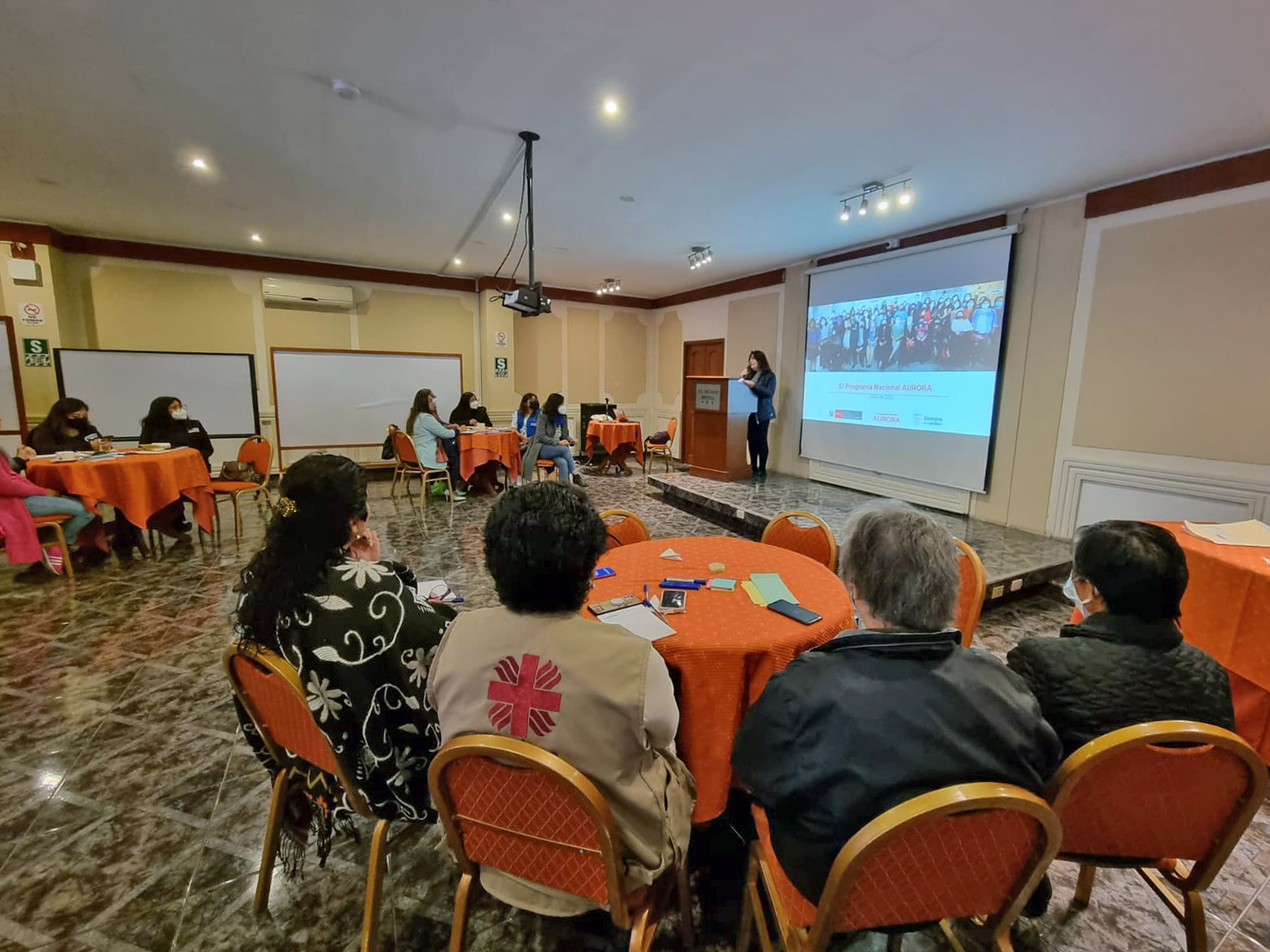 Ministra Diana Miloslavich participa de taller de reestructuración del Programa Aurora