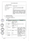 Vista preliminar de documento Ficha de Homologación