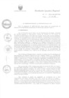 Vista preliminar de documento R.E.R. Nro 314-2022-GR-GR PUNO.pdf