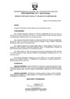 Vista preliminar de documento RES. 396-2021-SUNARP-ZRN°II-JEF