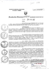 Vista preliminar de documento RD0232-MIDAGRI-DVDAFIR-PEBPT_0001.pdf