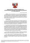 Vista preliminar de documento Resolución N° 207-2022-SUNARP-GG