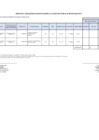 Vista preliminar de documento Anexo