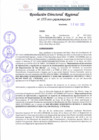 Vista preliminar de documento RDR 155-2022