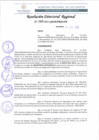 Vista preliminar de documento RDR 163-2022