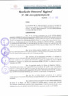 Vista preliminar de documento RDR 166-2022