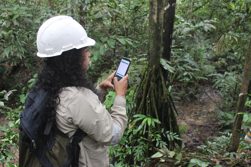 El OSINFOR impartirá un curso sobre supervisión del aprovechamiento forestal.
