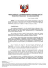 Vista preliminar de documento Resolución N° 104-2022-SUNARP-SN