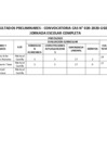 Vista preliminar de documento resultado