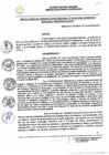 Vista preliminar de documento RESOLUCION DE GERENCIA SUB REGIONAL N° 155-2022-GOREA-GSRC.pdf