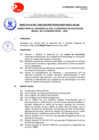 Vista preliminar de documento directiva