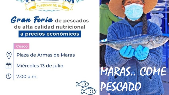 Programa Nacional “A Comer Pescado” presente en Feria DEL PESCADO DE ALTA CALIDAD NUTRICIONAL EN MARAS.
Nota de Prensa
Con la finalidad de promover el consumo de productos hidrobiológicos en la región y dar a conocer sus beneficios nutricionales, el Programa Nacional “A Comer Pescado” (PNACP) La Municipalidad Distrital de Maras, a través de la sub gerencia de desarrollo económico y el Ministerio de la Producción, invita a toda la Población Marasina a participar de la Feria DEL PESCADO DE ALTA CALIDAD NUTRICIONAL EN MARAS. Que se llevara adelante el día miércoles, 13 de julio del 0222 desde las 7.00 de la mañana en la Plaza de armas de Maras.
El Programa Nacional “A Comer Pescado” del Ministerio de la Producción promueve el consumo de productos hidrobiológicos por ser altamente nutritivos, saludables y aportar múltiples beneficios al organismo. Los pescados azules o de carne oscura como el bonito, machete, jurel, caballa y anchoveta, contienen Omega3, que es un ácido graso esencial que debe ser ingerido mediante la alimentación, y es muy beneficioso para el organismo.
