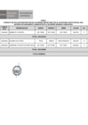 Vista preliminar de documento Formato de Ficha