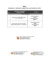 Vista preliminar de documento Anexo II - APROBACIÓN DE LA INSCRIPCIÓN DE CANDIDATOS DE LAS ASOCIACIONES DE LAS MYPE.pdf