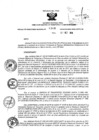 Vista preliminar de documento 52549813_RDR_1340_2014.pdf