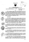 Vista preliminar de documento 2028804880_RDR_1393_2014.pdf