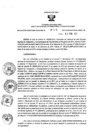 Vista preliminar de documento 202600600_RDR_0115_2015.pdf