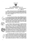 Vista preliminar de documento 371269135_RDR_0196_2015.pdf