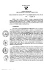 Vista preliminar de documento 332763732_RDR_0331_2015.pdf