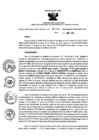 Vista preliminar de documento 964508457_RDR_0344_2015.pdf