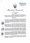 Vista preliminar de documento RD 095-2019