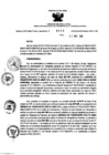 Vista preliminar de documento 596953216_RDR_0439_2015.pdf
