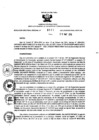 Vista preliminar de documento 1131146592_RDR_0501_2015.pdf