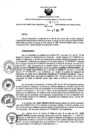 Vista preliminar de documento 1489943281_RDR_711_2015.pdf