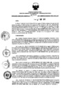 Vista preliminar de documento 841845380_RDR_0860_2015.pdf