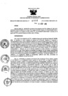 Vista preliminar de documento 1509636107_RDR_0868_2015.pdf