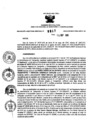 Vista preliminar de documento 1113010276_RDR_0917_2015.pdf